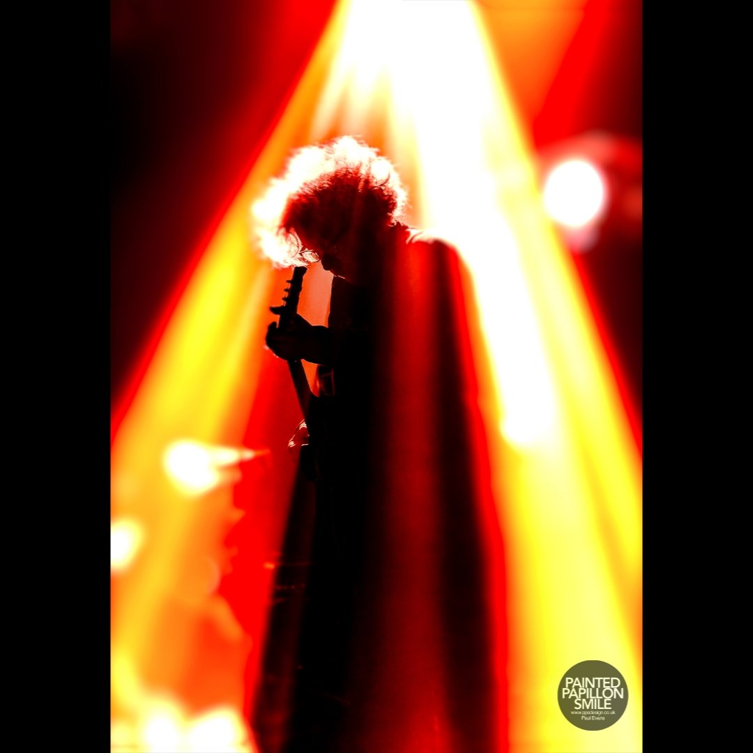 painted.papillon.smile tweet media