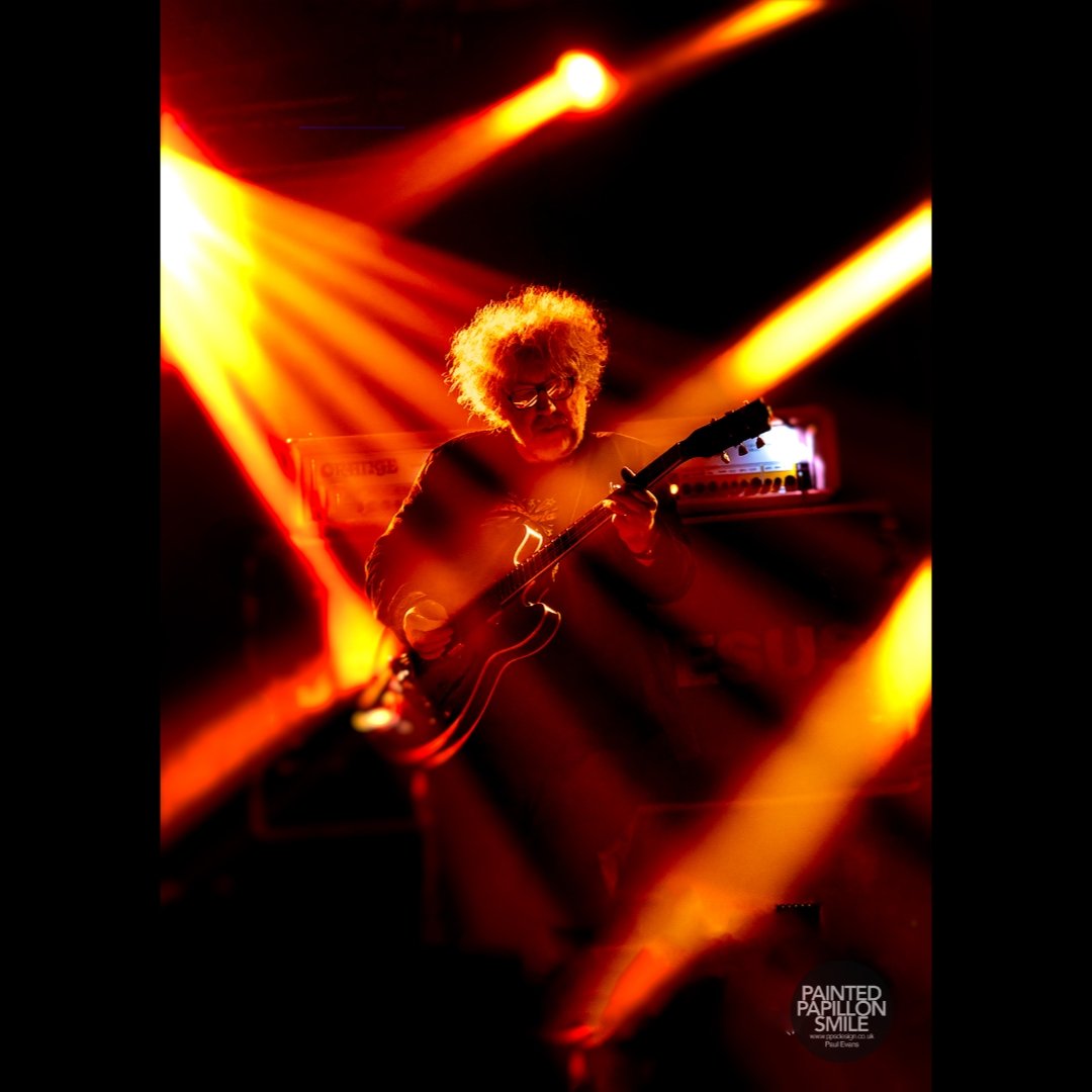 painted.papillon.smile tweet media