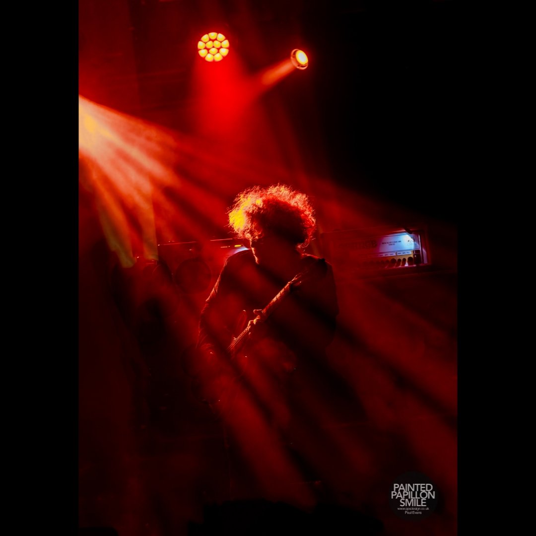 painted.papillon.smile tweet media