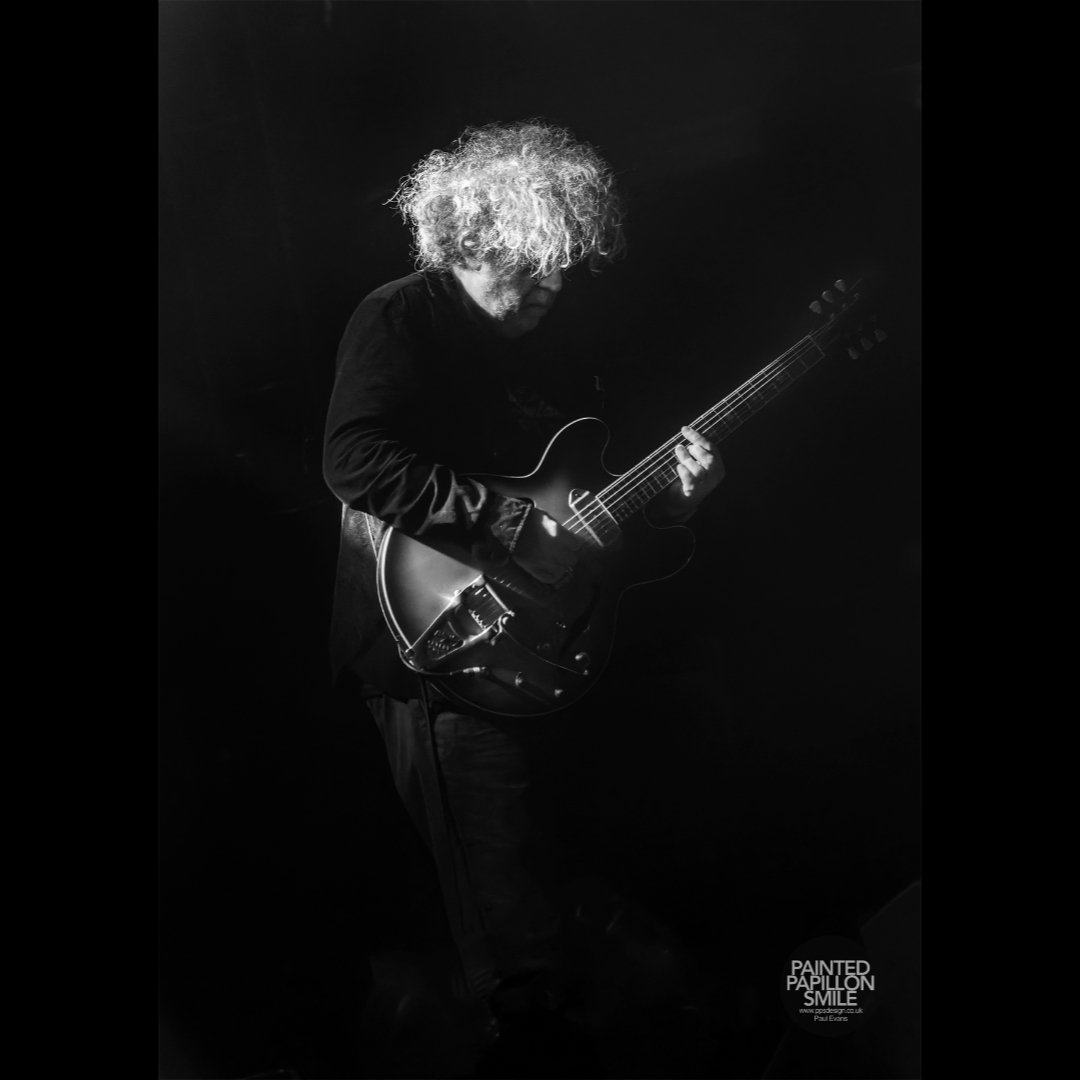 painted.papillon.smile tweet media