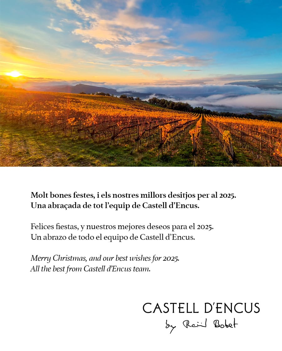 Molt bones festes, i els nostres millors desitjos per al 2025.
Una abraçada de tot l'equip de Castell d'Encus.

#byraulbobet #castelldencus #ferrerbobet  #winetourism #riesling #merrychristmas