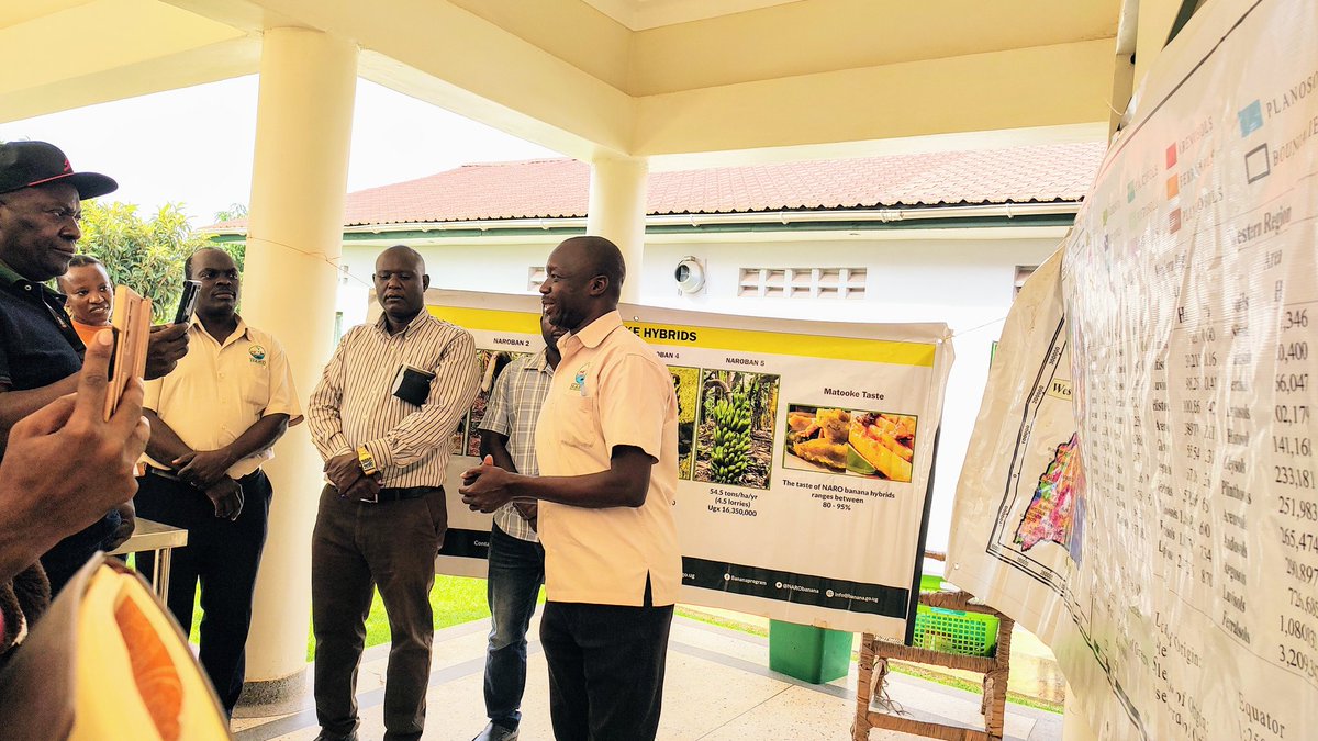 narobiotech's tweet photo. Scientists at The National Agricultural Research Laboratories showing a team  from the diaspora some of the different technologies done at NARL.@MAAIF_Uganda @NaroKawanda @NAROBanana @NAROBanana @FAOUganda @emilyarayo https://t.co/EMjl52uDeT