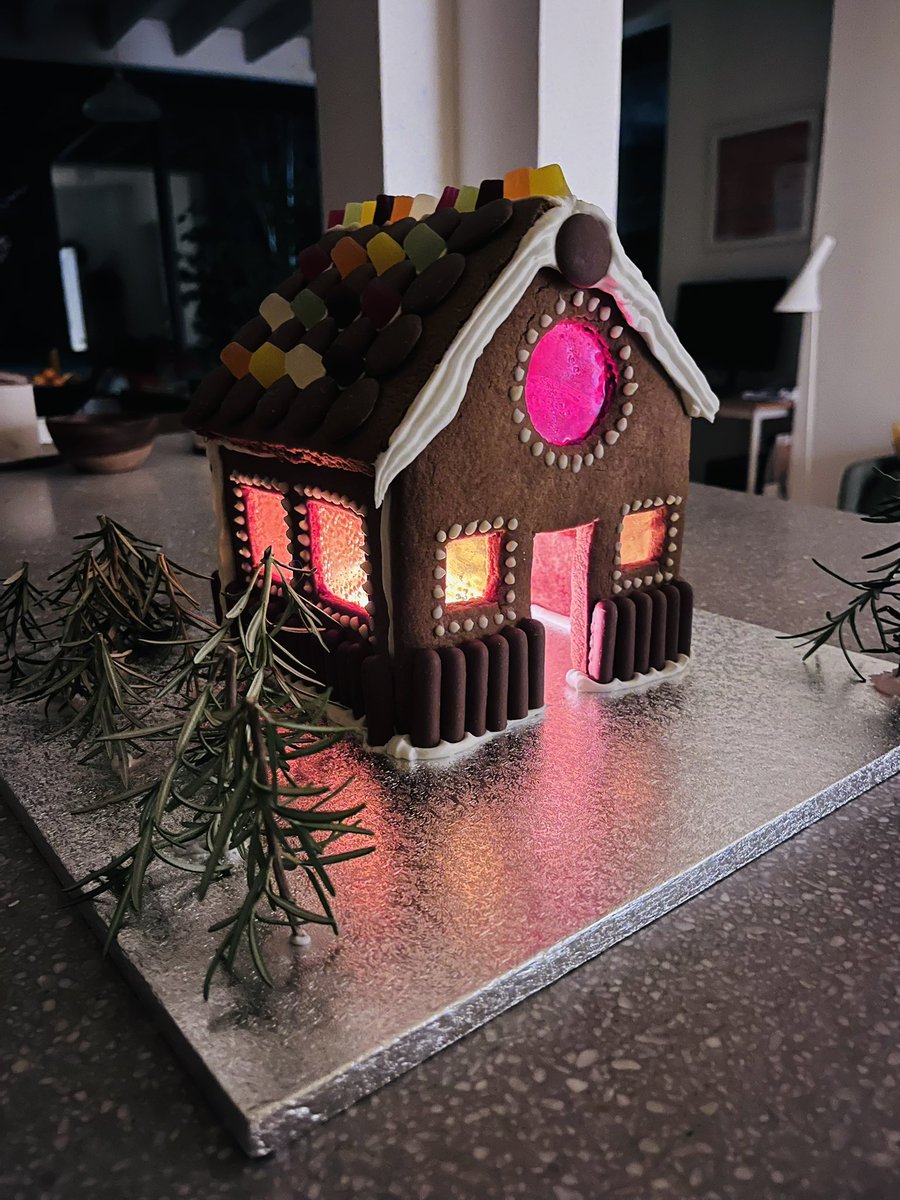 Made a big house in the little woods. To be demolished on Christmas Day 🎄