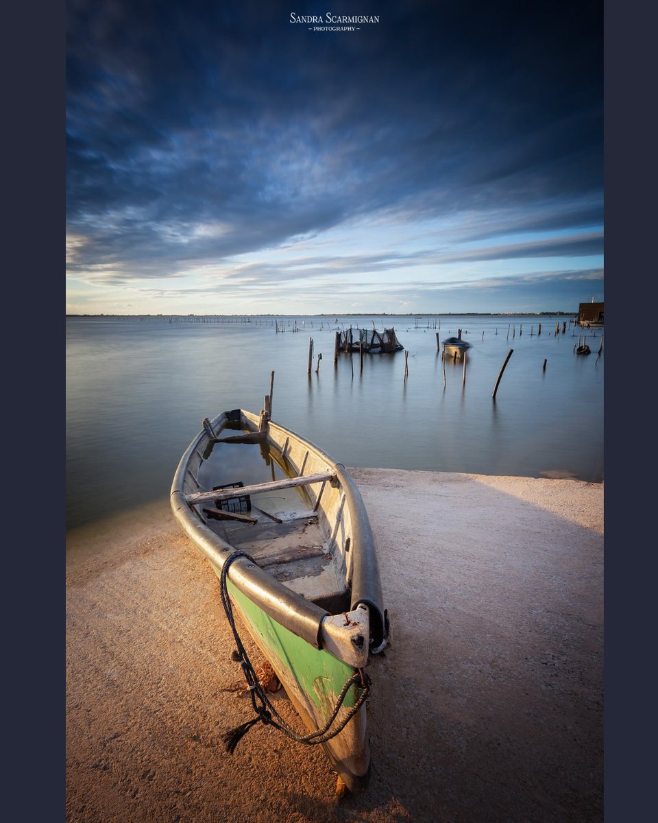 FotoproOfficial's tweet photo. >> Swipe to feel the peaceful moment
#AdventurewithT1plus
Shared by ig@sandra68_photography
🔭T1 Plus Standard
📸Canon 5d mark iii 17.40 mm L
#Fotopro #T1Plus #Pantour #tripod #landscapephotography #capturethemoment #camerasetup #photographygear #cameragear #naturephotography https://t.co/GAWSYtrivm