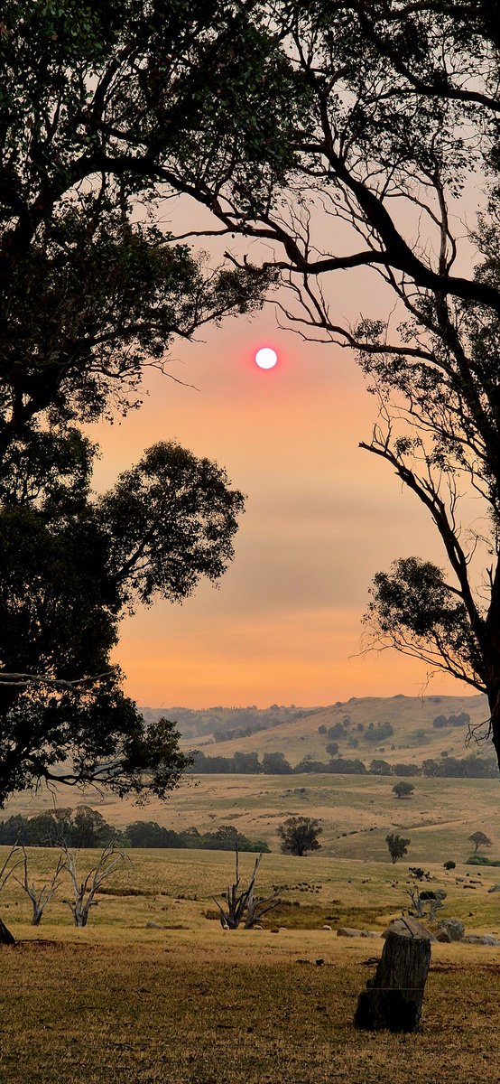 BrianLeahy11's tweet image. Smoke from fires in Vic, changing my view. #sunsetting