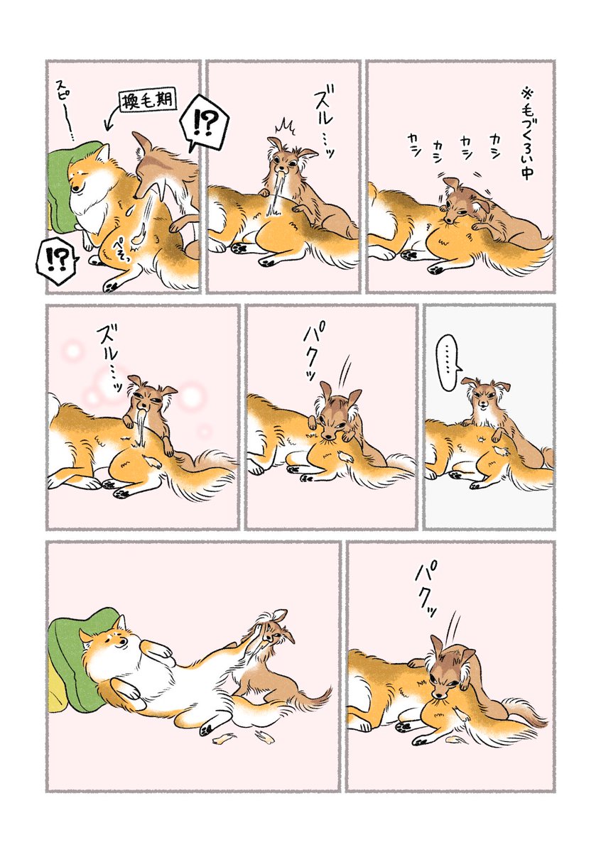 抜け毛の誘惑 
