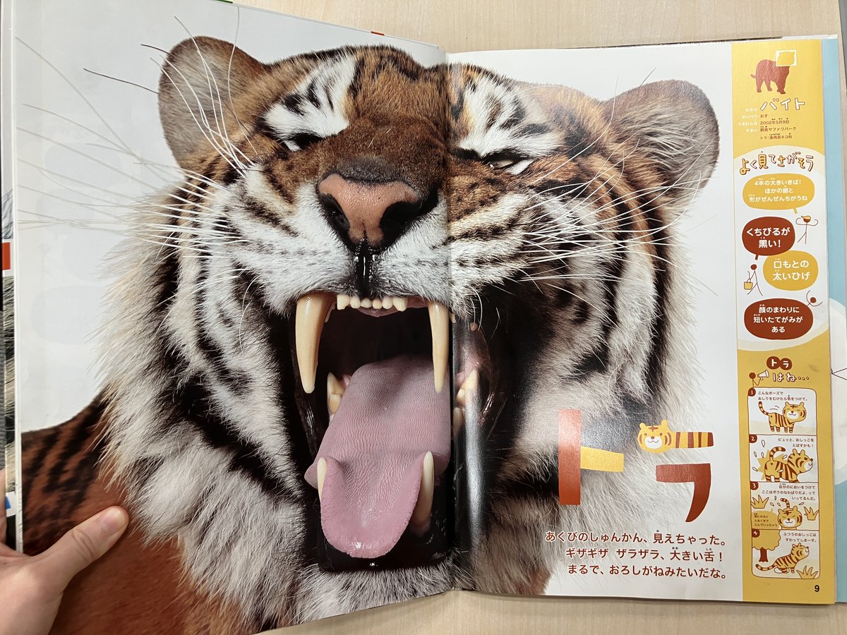 🌟愛されて16年🌟 『ほんとのおおきさ動物園』第28刷できあがりました