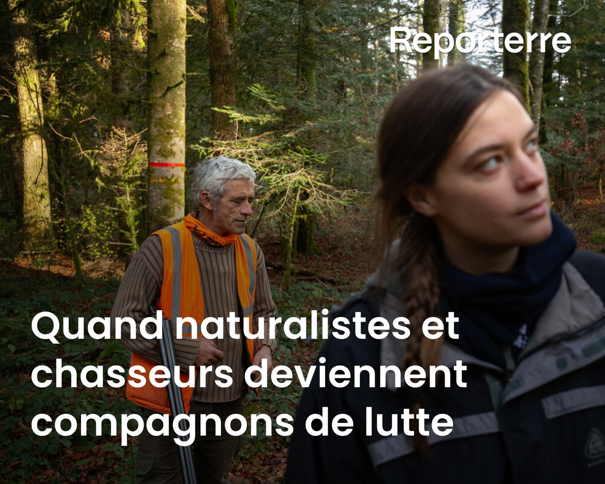 Dans le Jura, militants écologistes et chasseurs se sont alliés contre un projet de parc solaire.

Un exemple réussi de composition des luttes.

Lire l'article ➡️ l.reporterre.net/kRa
