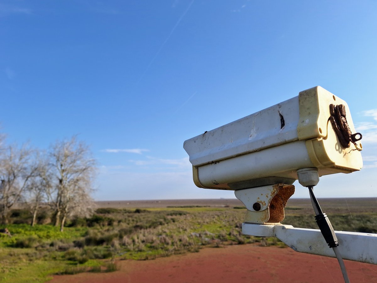 ¿Sabes qué es una fenocámara?

📹Está enfocada a un hábitat de interés para estimar los cambios en su productividad. La información recogida y procesada, asociada a las tendencias climáticas, reporta un valioso testimonio del efecto del cambio climático

📷Abel Valero

#ICTSNews