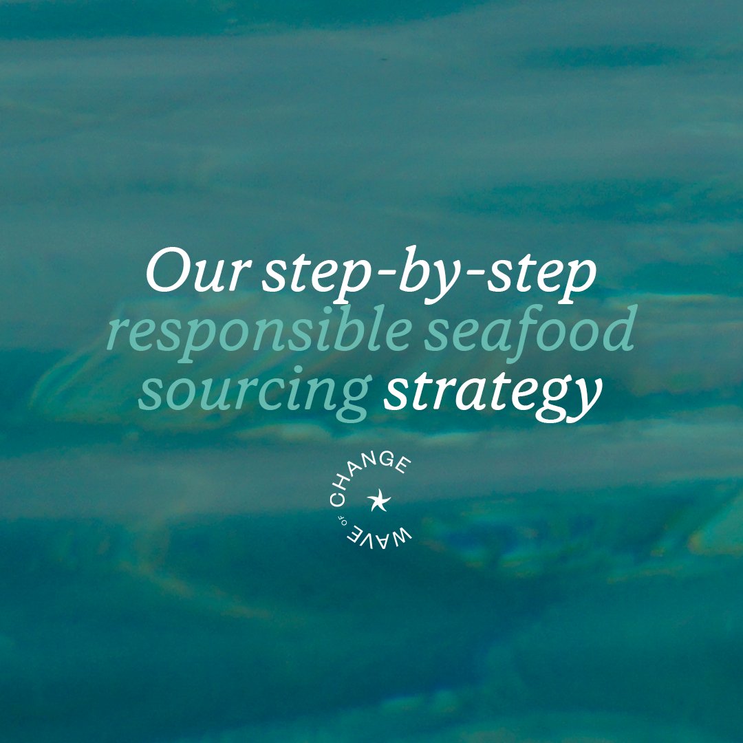 Wave Of Change tweet media