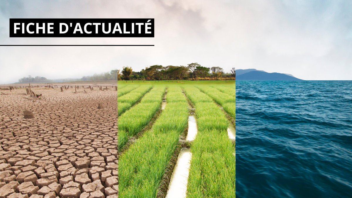 IHEDN (@ihedn) on Twitter photo 🌊#FicheActu I Les #ChangementsClimatiques semblent directement influer sur les enjeux de #défense et de #sécurité dans le monde. Des impacts sur la conflictualité aux défis posés pour le fonctionnement des forces armées, les États doivent adapter leurs stratégies pour faire face 🌊#FicheActu I Les #ChangementsClimatiques semblent directement influer sur les enjeux de #défense et de #sécurité dans le monde. Des impacts sur la conflictualité aux défis posés pour le fonctionnement des forces armées, les États doivent adapter leurs stratégies pour faire face