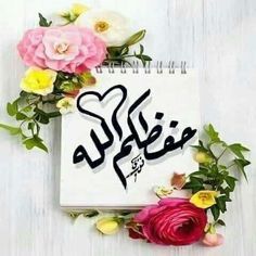 صفاء الطائي tweet media