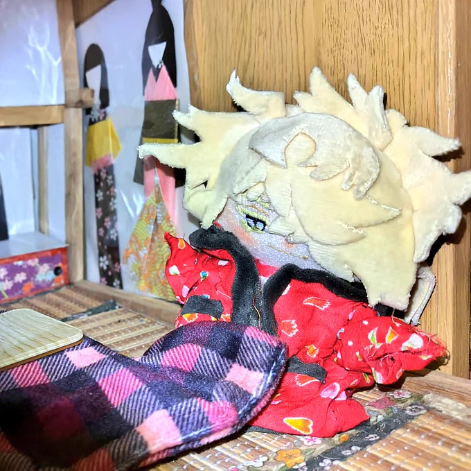 部屋は本棚に収まる手作り和室で満足してる(持ち主が)