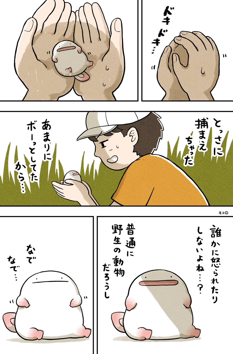 (2/4) 