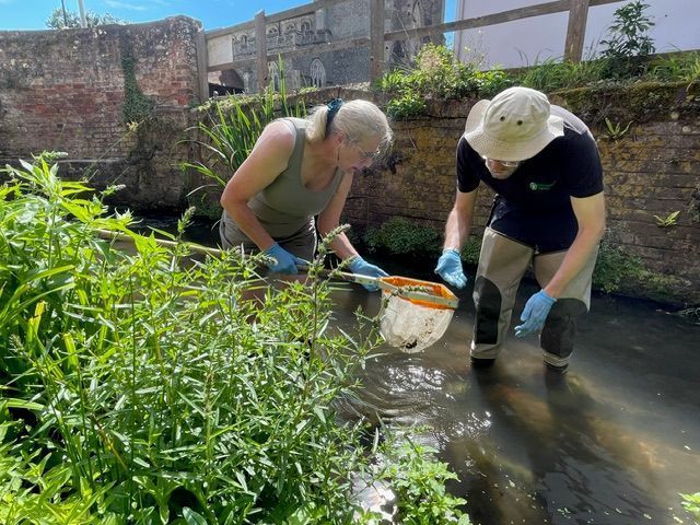 greensuffolk's tweet photo. Our last member of the month for 2024 is Natural Boxford! Their first year has led to an inspiring wave of wildlife action. You can read all about their work at https://t.co/Ugk6HaVRAf #memberofthemonth https://t.co/X9NFyz9uP2