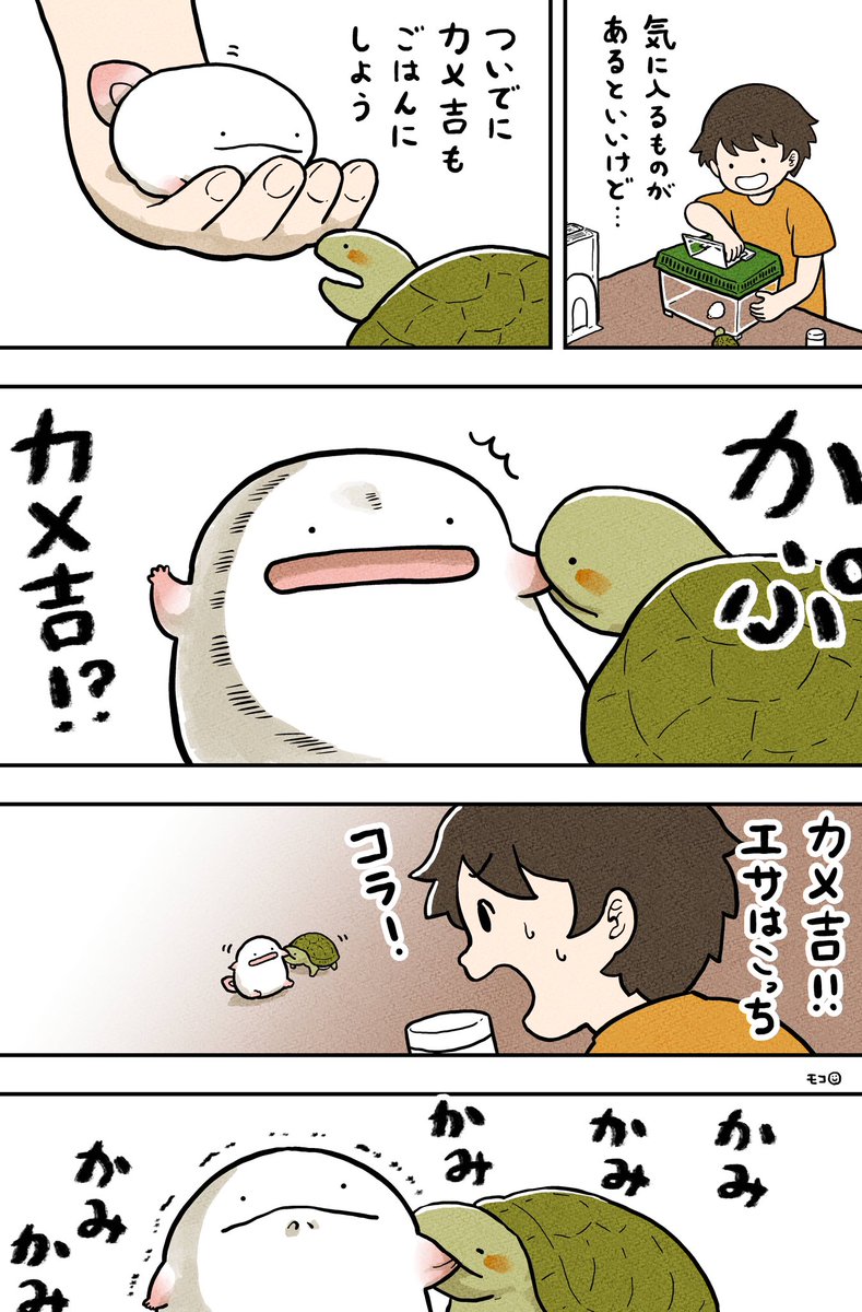 (3/4) 