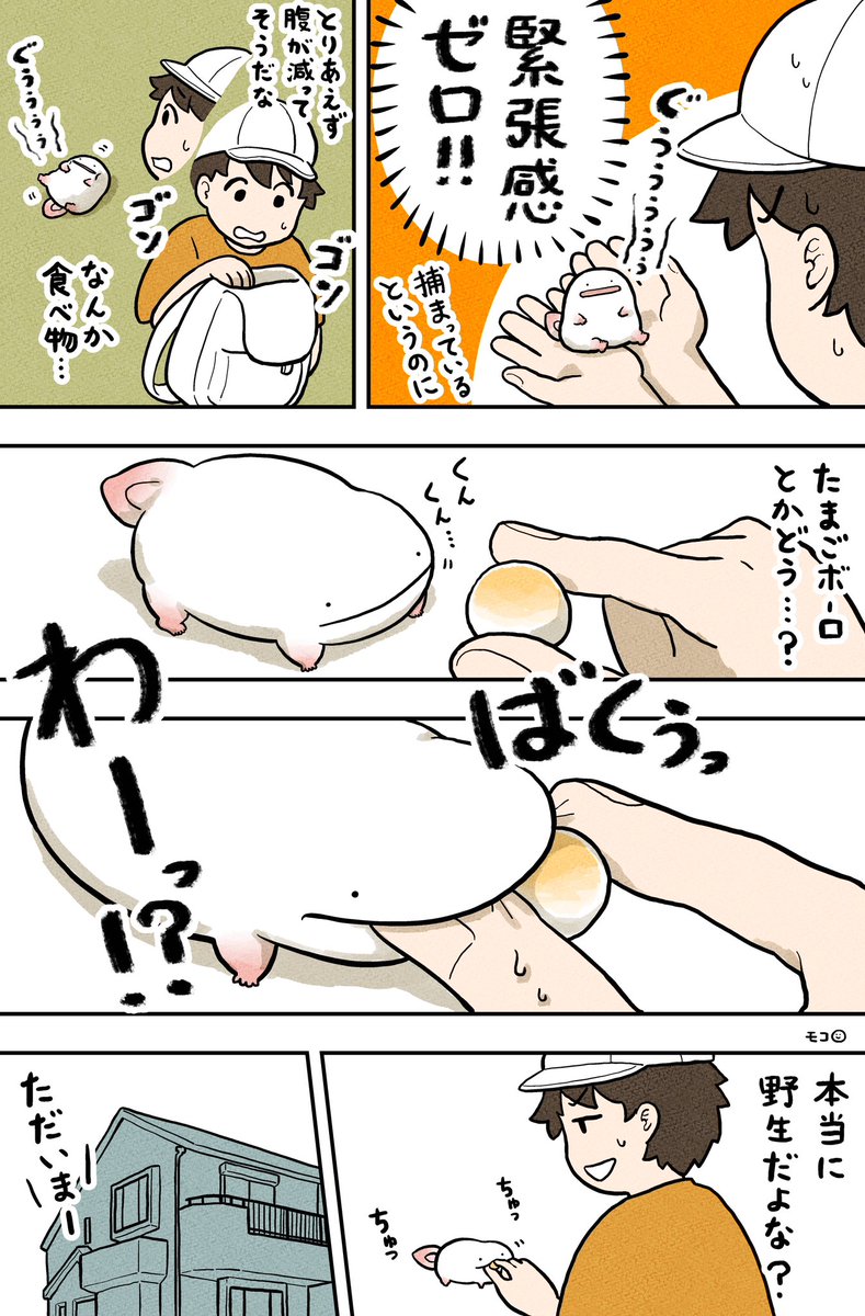 (3/4) 