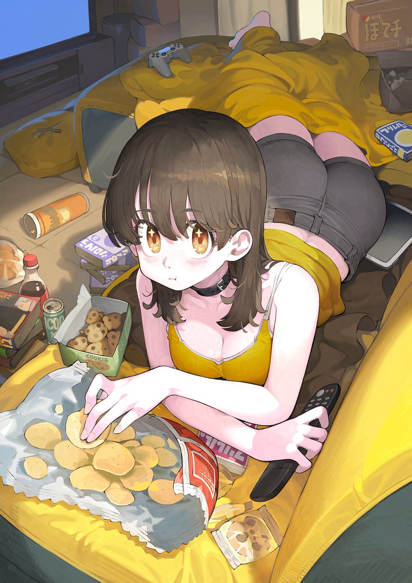 navigavi's tweet photo. ごろごろ https://t.co/Xhvsa2f6FH