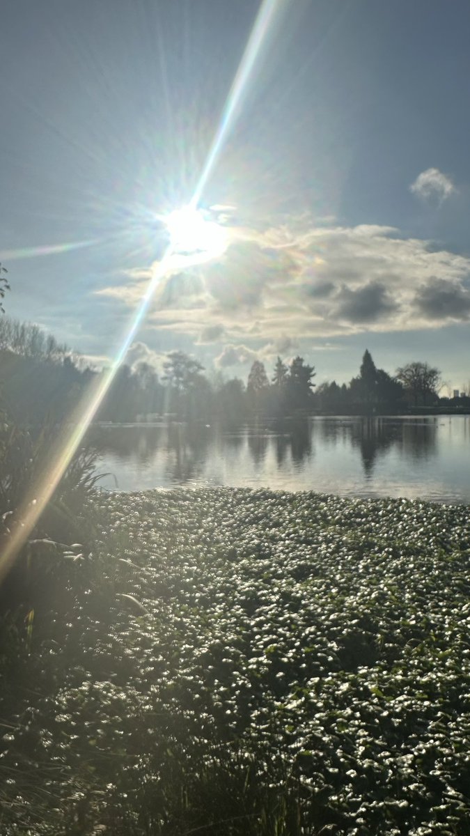 Eileen Murphy tweet media