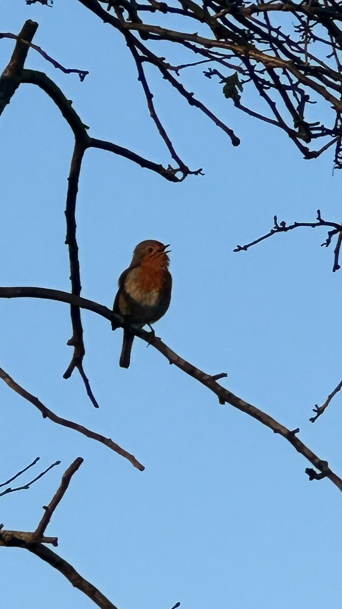 Eileen Murphy tweet media