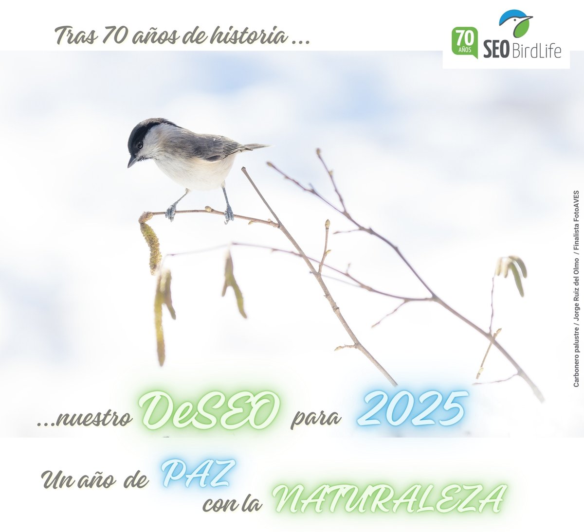 🎄✨ ¡Felices fiestas de parte de todo el equipo de SEO/BirdLife! ✨🎄

En estas fechas queremos agradecer a todas las personas asociadas, seguidores, colaboradores y amigos su apoyo a lo largo del año. Juntos, estamos protegiendo la naturaleza y trabajando por un futuro más