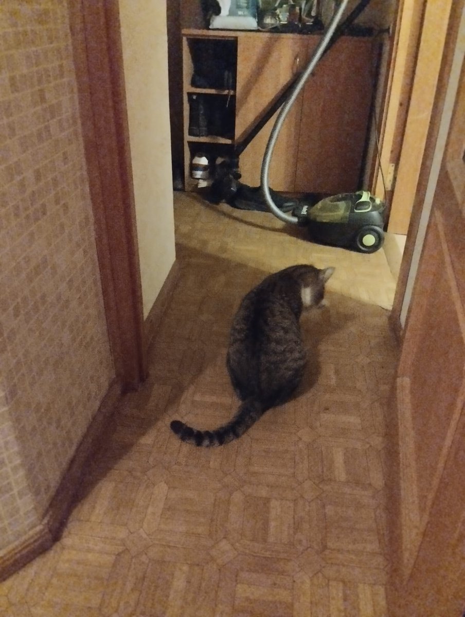 Andrzej Mic Serj tweet media