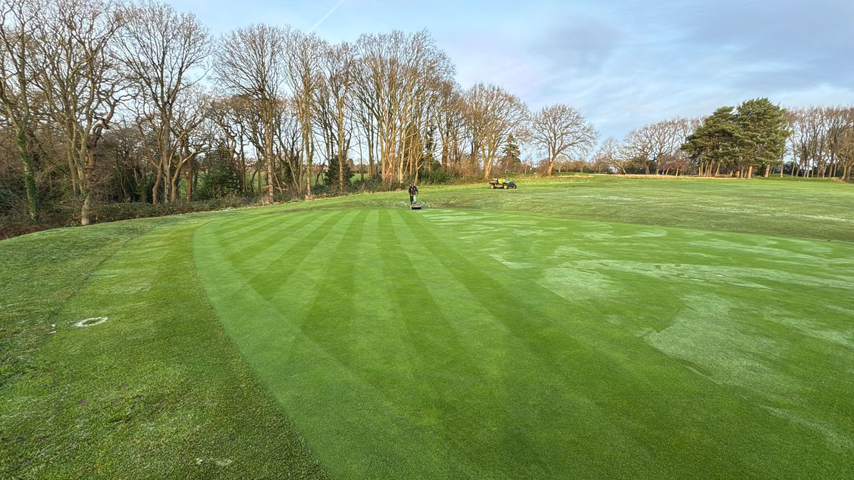 berto74cafc tweet media