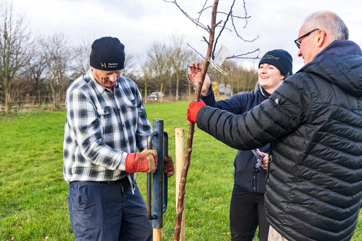 Humber Forest tweet media