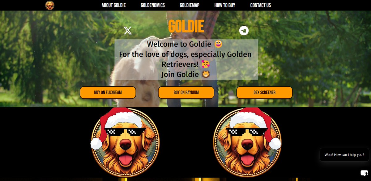 We have a Goldie Chatbot on our website 🔥🔥🔥

You can ask it anything about Goldie and everything about the world 😜

Website in profile and chatbot in the low right corner

#chatbots #ChatGPT #MemesAI #memecoin1000x