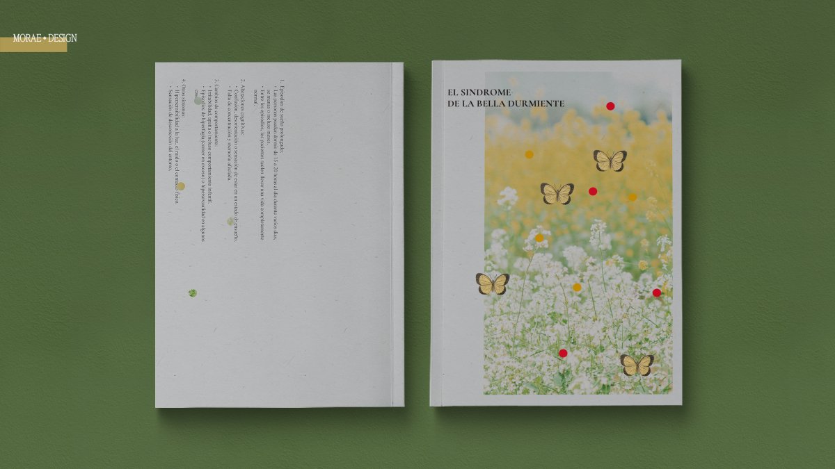 레디메이드 <EL SÍNDROME DE LA BELLA DURMIENTE>