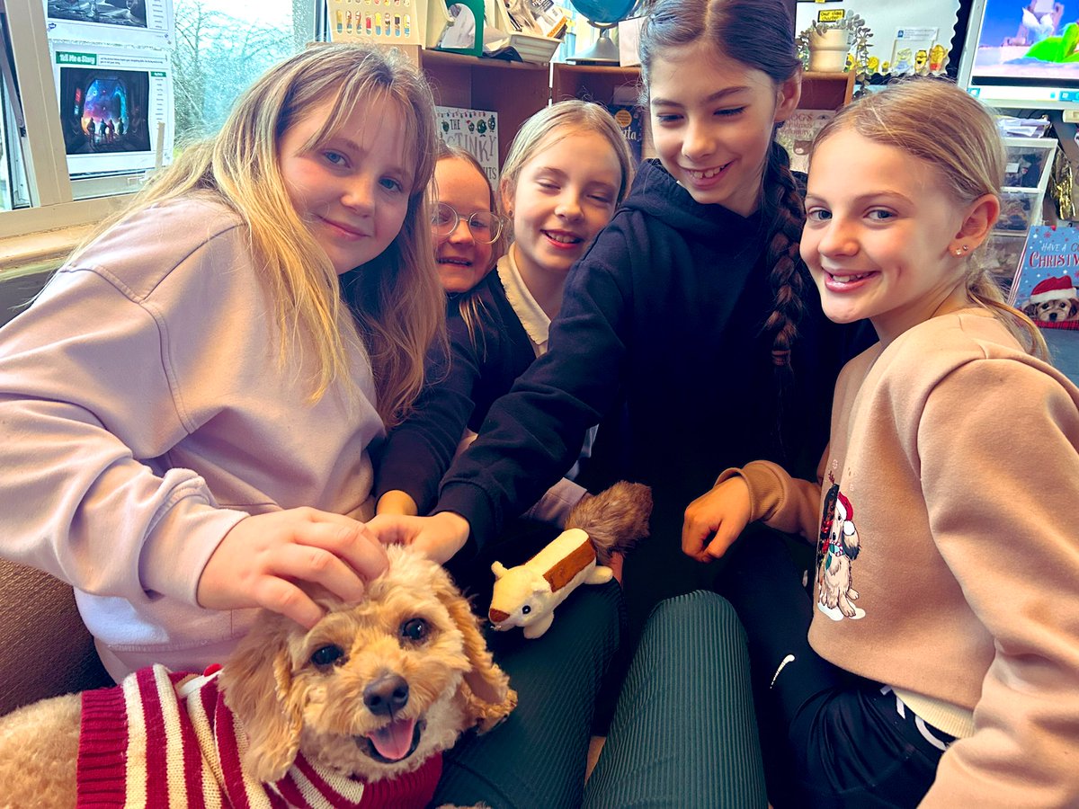 KPS Primary 6M tweet media