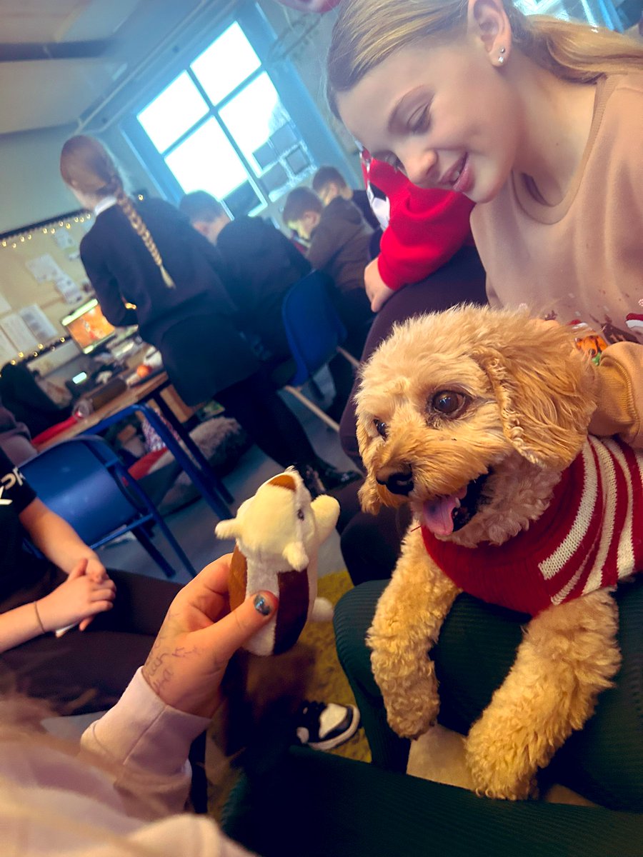 KPS Primary 6M tweet media