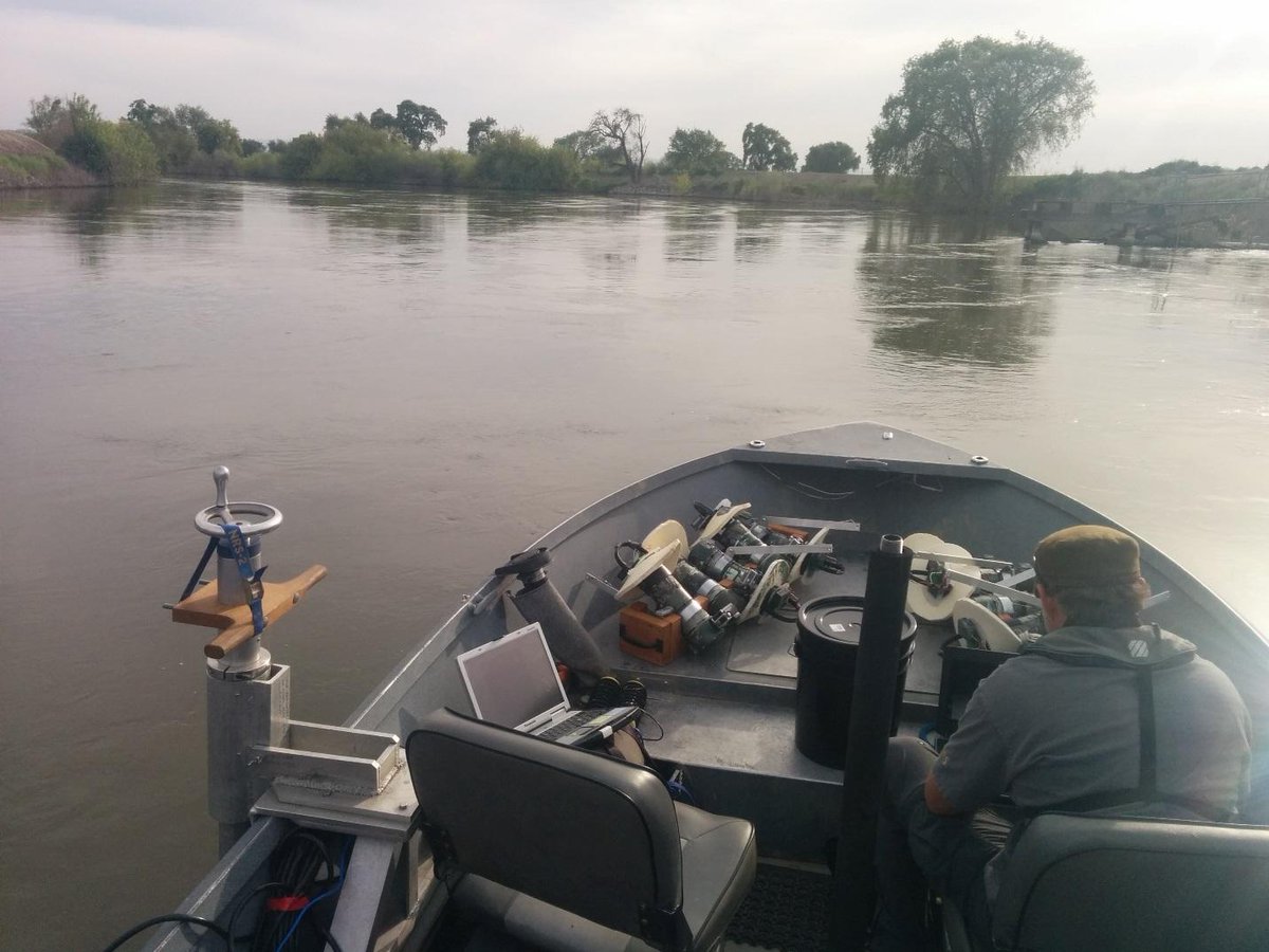 Job alert! California CRU at Cal Poly Humboldt. Closing date is 1/31/25. The USGS researcher/Assistant Unit Leader will serve as a graduate faculty member, contribute to graduate student mentorship, and conduct research on fish, wildlife, and ecology. 

tinyurl.com/2j2t3r3h