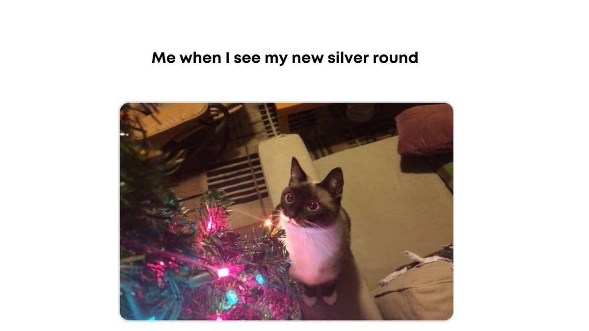 ModernCoinMart's tweet photo. Iβm like my cat when he sees our Christmas tree for the first time for the seventh year in a row.
#moderncoinmart #mcm #coinmeme #coinmemes #numismaticmemes #numismaticmeme #funnymeme https://t.co/8zSmWCtDDb