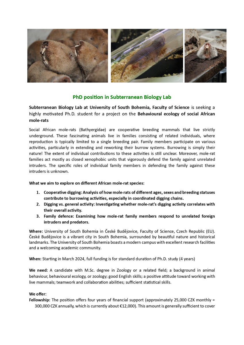 Lenka Gahurova tweet media