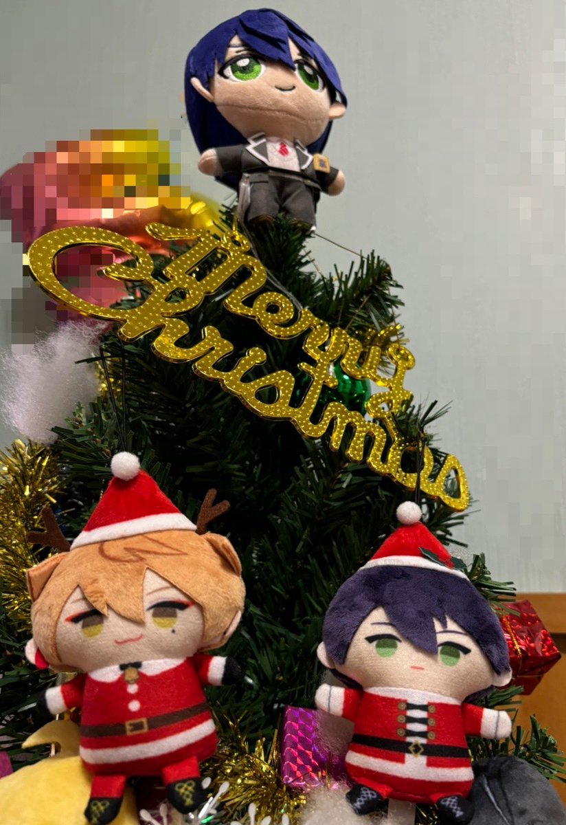 お友達の家で撮らせていただいた！🎄
