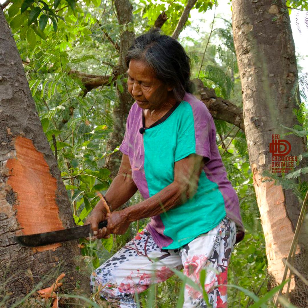 Grupo Sunu tweet media