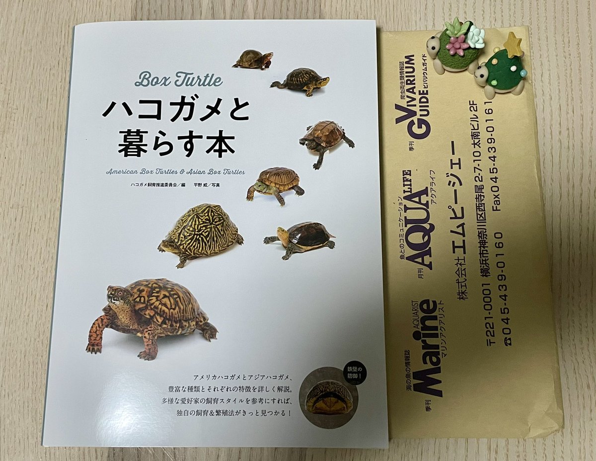 献本戴きました📕😆ｱﾘｶﾞﾄｳ
私は超ハコガメビギナー担当なので、あとはハコガメ飼育推進委員会の皆さまやベテラン編集者の方が上手にまとめて、素晴らしいハコガメ飼育本になっておりました✨👍
ホント年内に間に合って良かったぁ〜🐢

是非ご覧ください😊

#ハコガメと暮らす本
#エムピージェー