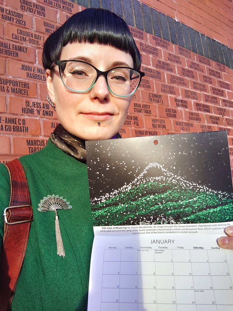 Ksena Bondarenko (@keskeseno) on Twitter photo My '37th View of Mount Fuji,' is a January cover for <a href="/scotmicro/">Scottish Microscopy Society</a>'s 2025 fundraising calendar!
Got it at SMS 50th Annual Symposium, where I gave a talk on #expansionmicroscopy.
A 'mountain' formed by ependymal cell nuclei in the mouse brainstem.
#Microscopy #FluorescenceFriday My '37th View of Mount Fuji,' is a January cover for <a href="/scotmicro/">Scottish Microscopy Society</a>'s 2025 fundraising calendar!
Got it at SMS 50th Annual Symposium, where I gave a talk on #expansionmicroscopy.
A 'mountain' formed by ependymal cell nuclei in the mouse brainstem.
#Microscopy #FluorescenceFriday