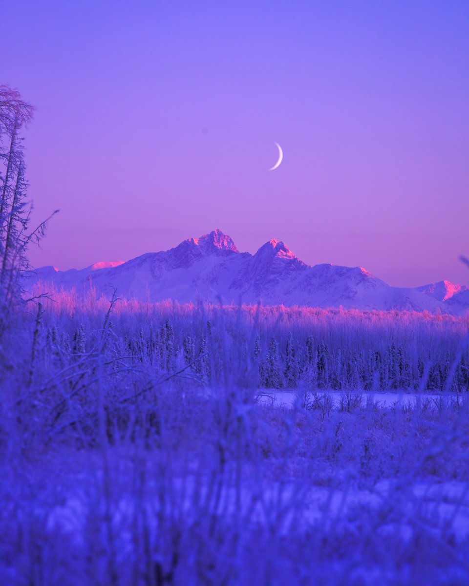 CAMPROBBER_'s tweet photo. Big Lake AK https://t.co/0lAJn7VjMV
