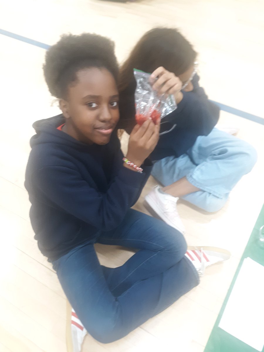 Dunleith STEM tweet media