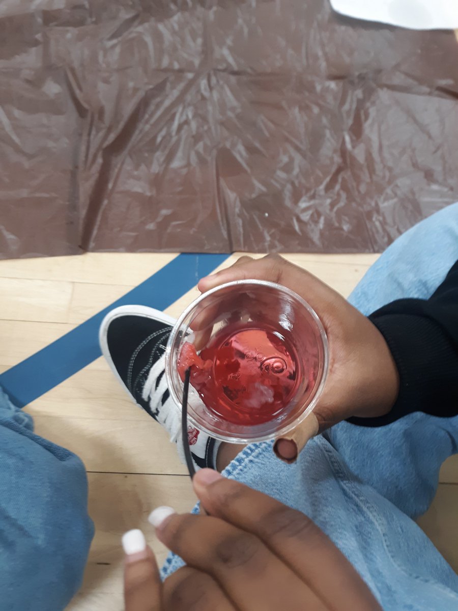 Dunleith STEM tweet media