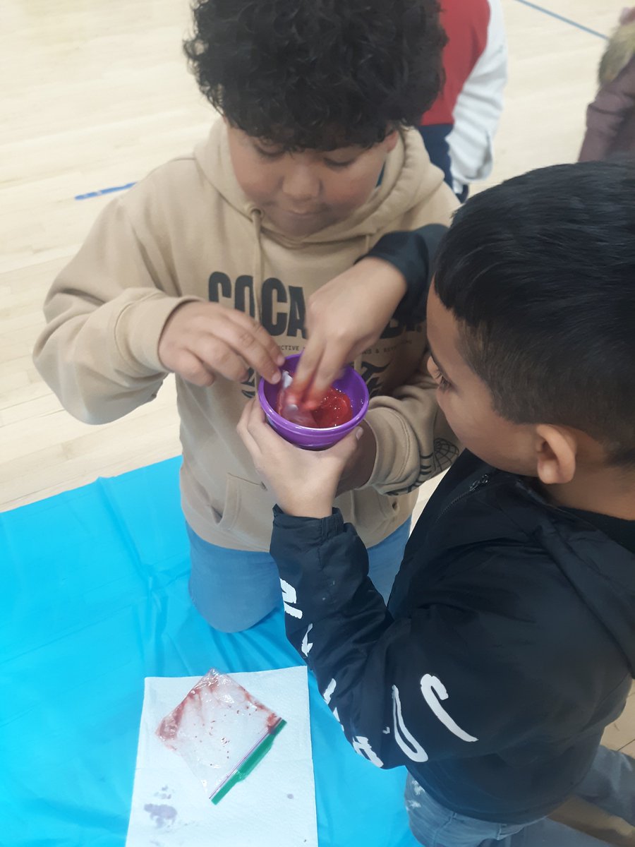 Dunleith STEM tweet media