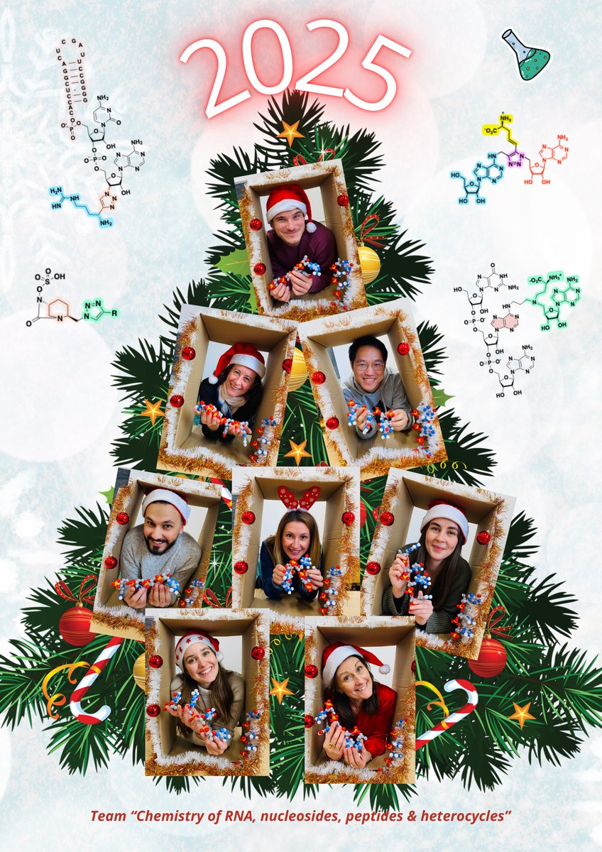 MEQ team wish you Happy Holidays 🎄🎅🥳