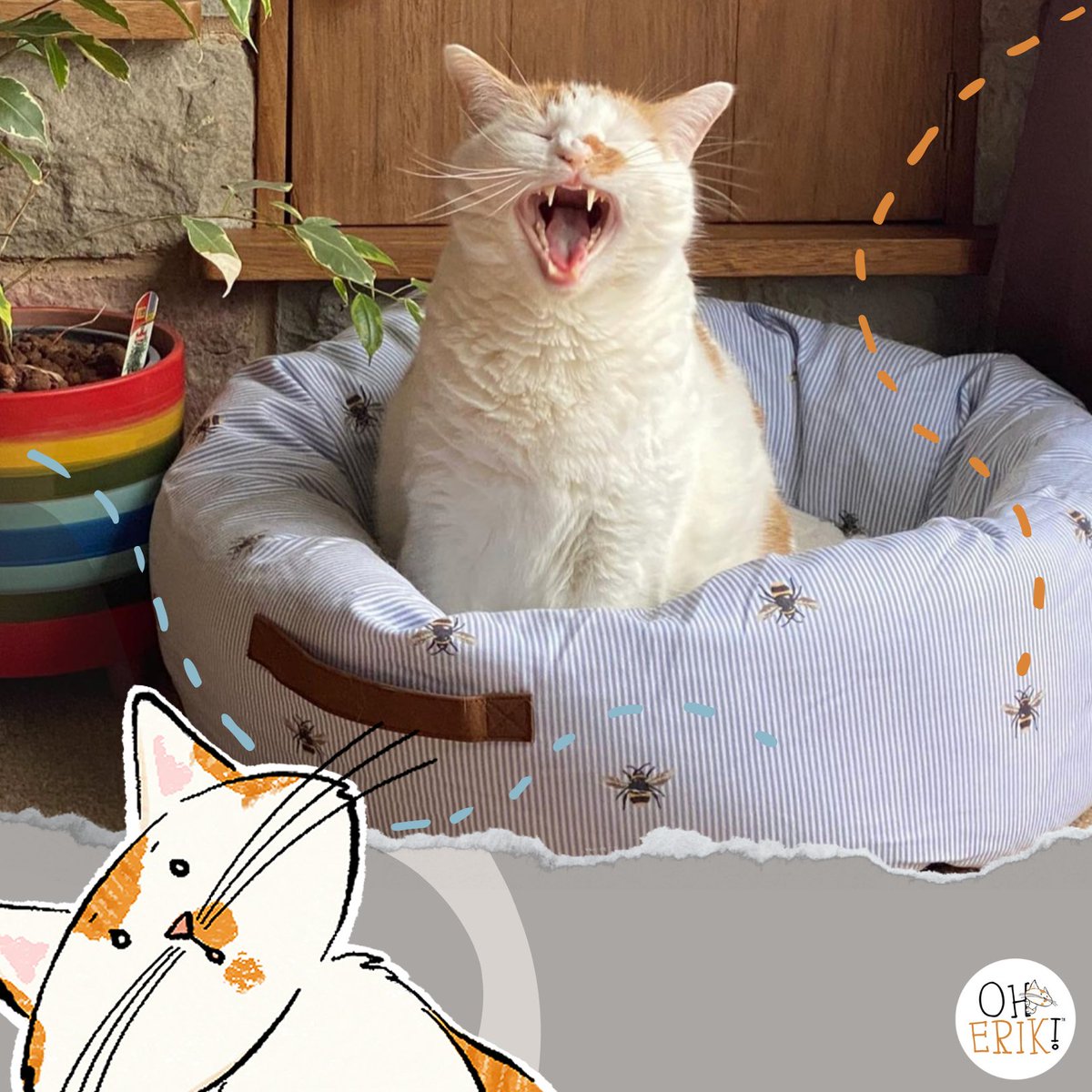 oherikofficial's tweet photo. Erik the Explorer Cat doesn’t just nap—he dreams of being a starship captain negotiating for cosmic catnip! 🚀🐱 Imagination knows no bounds for this fearless feline adventurer. 🌌 

#AdventureCat #ErikTheExplorerCat #CatExplorers #FelineFun #PetInfluencer https://t.co/20KUELxwAc