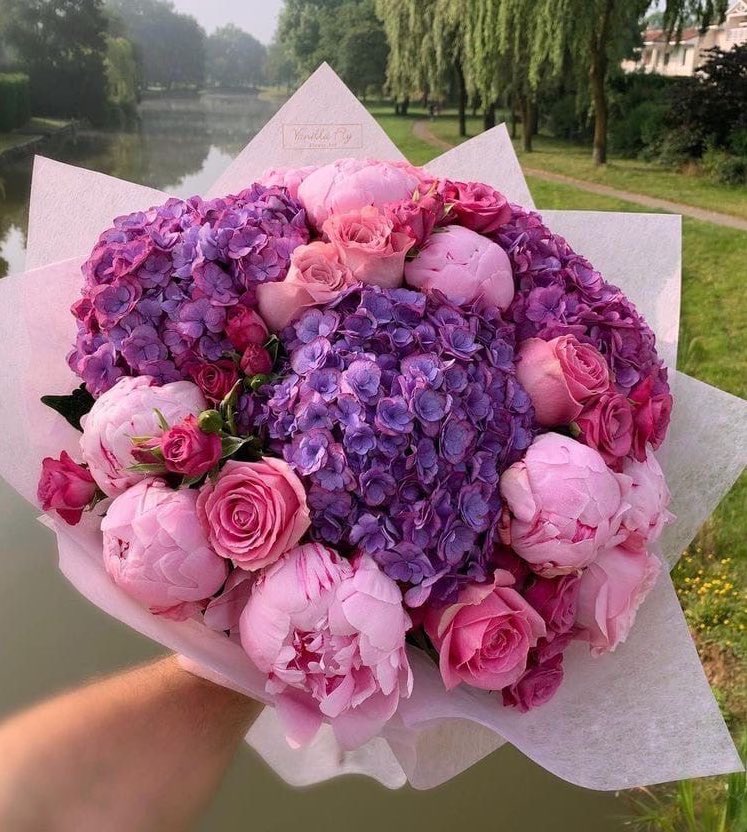5sosflowers's tweet photo. 💐: for @michaevalntyne
💌: CHLOEEEE i love you so so much you’re genuinely one of my favorite people to exist, i’m so thankful for you and all our debriefs and jokes and calls. i will never take you for granted youre one of my best friends and i can’t wait for the day we + https://t.co/UN2uXMCsOV