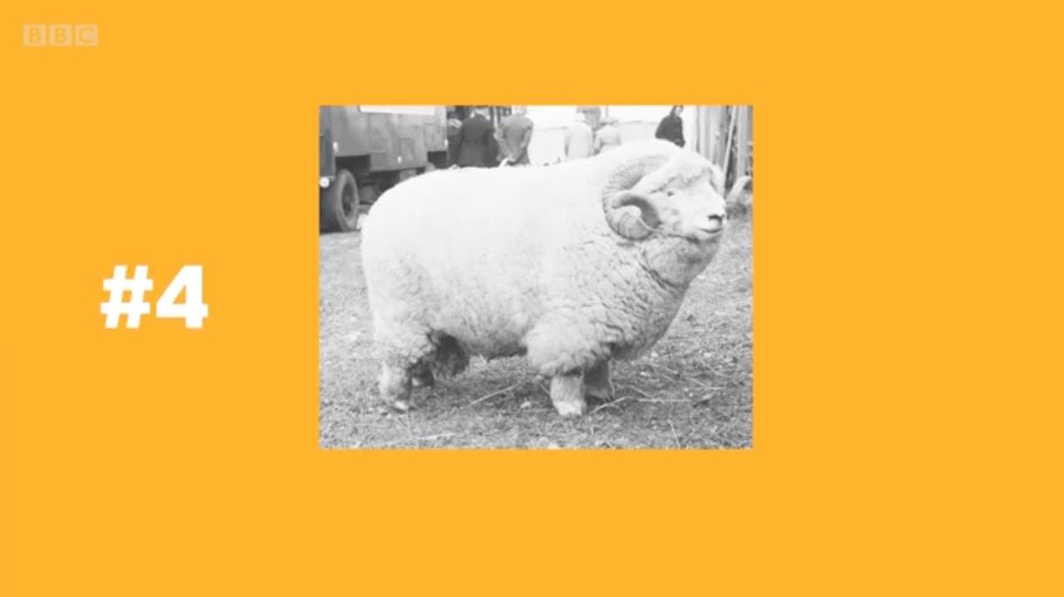 y tho? 

GTPurcAxQc7sXM6M5hCgQNmxYn4QT4jjyYpQrRykpump