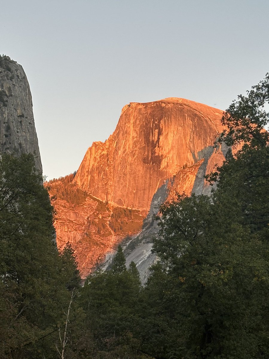 stephen kaufer tweet media