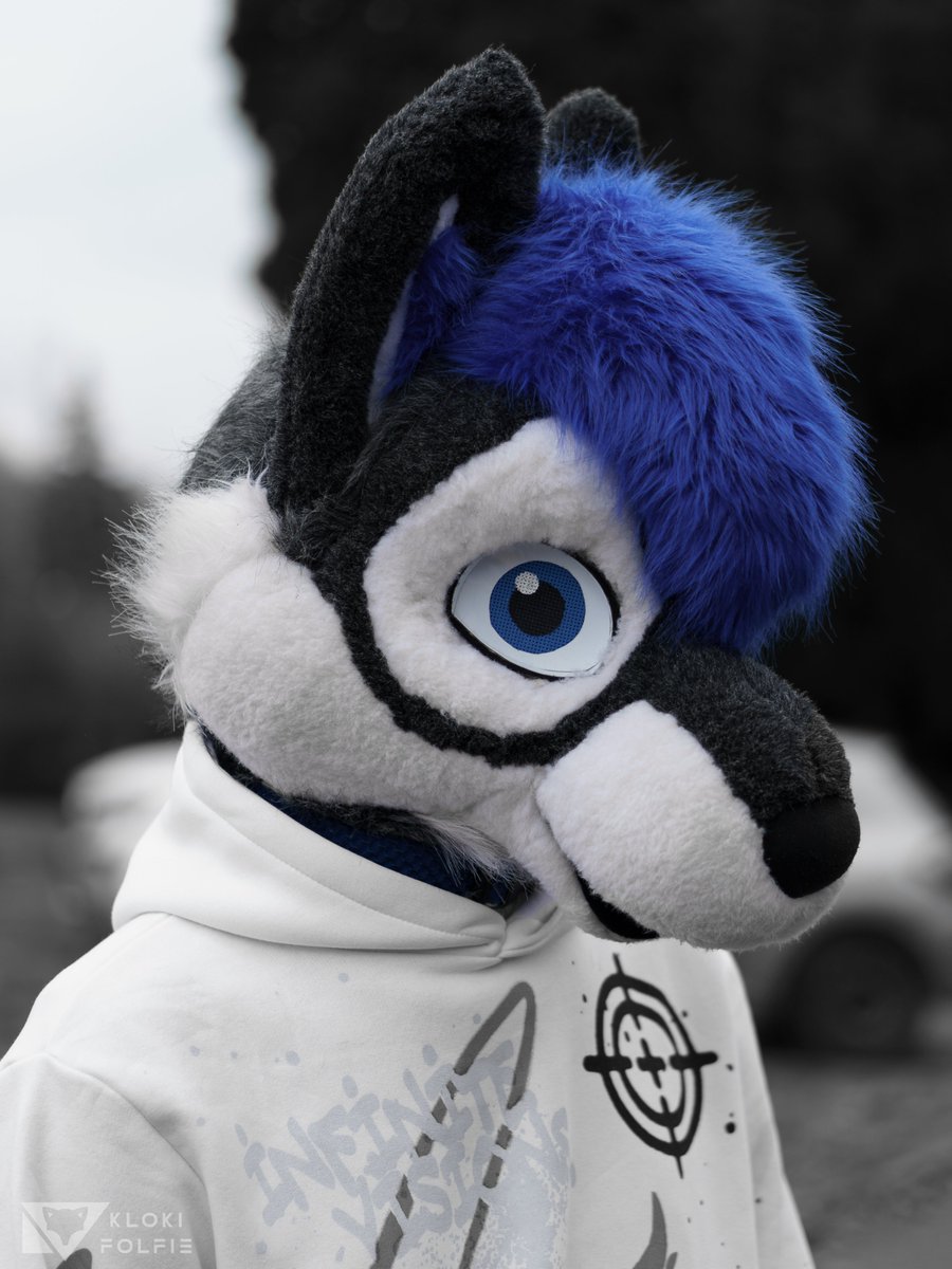💙

 📸@klokifolfie 
  #furry #fursuit #furryfandom #fursuiter #FursuitFriday