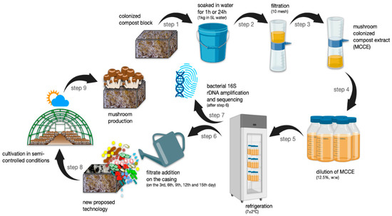 JoF_MDPI's tweet photo. New research explores the bacterial community in Agaricus subrufescens compost extracts and its impact on mushroom production.🍄🔬
#MushroomCultivation #Microbiomics #Agaricus #Agronomy #16SSequencing #Nanopore
https://t.co/Rl7rJMG1h5 https://t.co/dgkqinpnGR